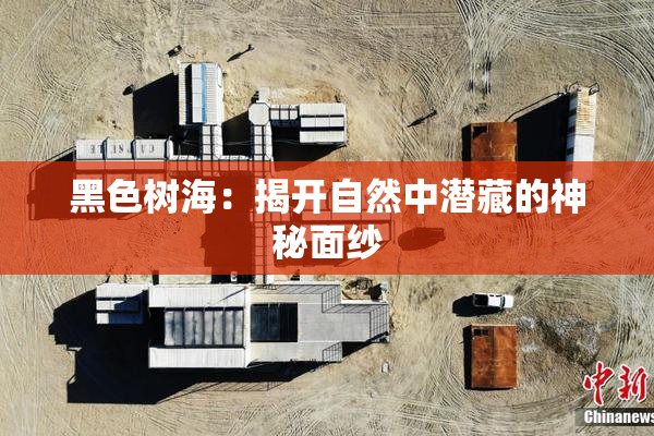 黑色树海：揭开自然中潜藏的神秘面纱