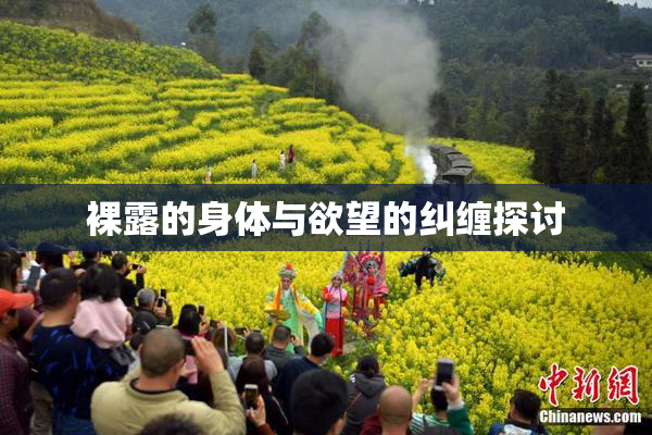 裸露的身体与欲望的纠缠探讨