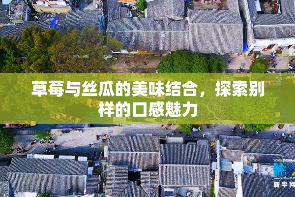 草莓与丝瓜的美味结合，探索别样的口感魅力
