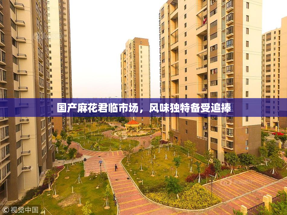 国产麻花君临市场，风味独特备受追捧