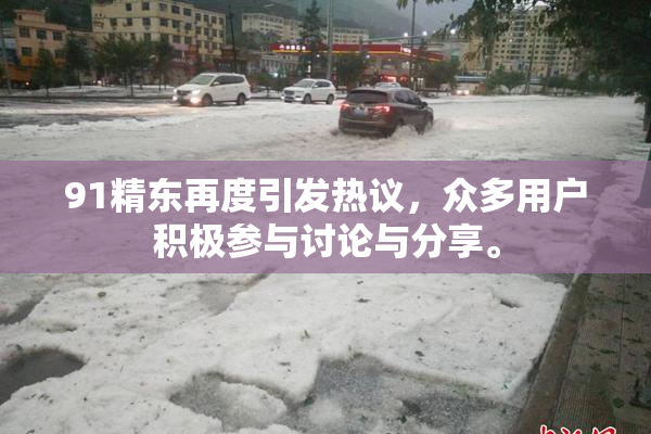 91精东再度引发热议，众多用户积极参与讨论与分享。