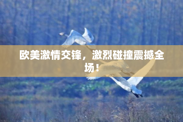 欧美激情交锋，激烈碰撞震撼全场！