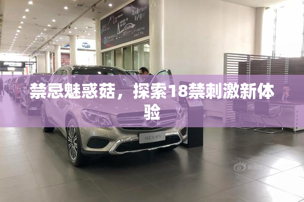 禁忌魅惑菇，探索18禁刺激新体验