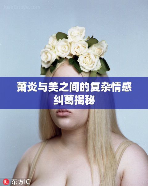 萧炎与美之间的复杂情感纠葛揭秘