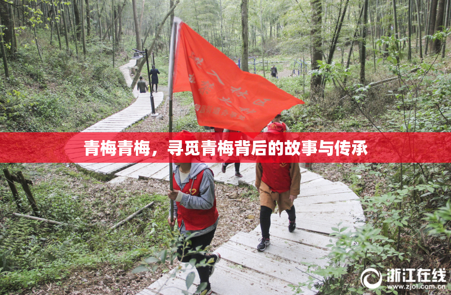 青梅青梅，寻觅青梅背后的故事与传承