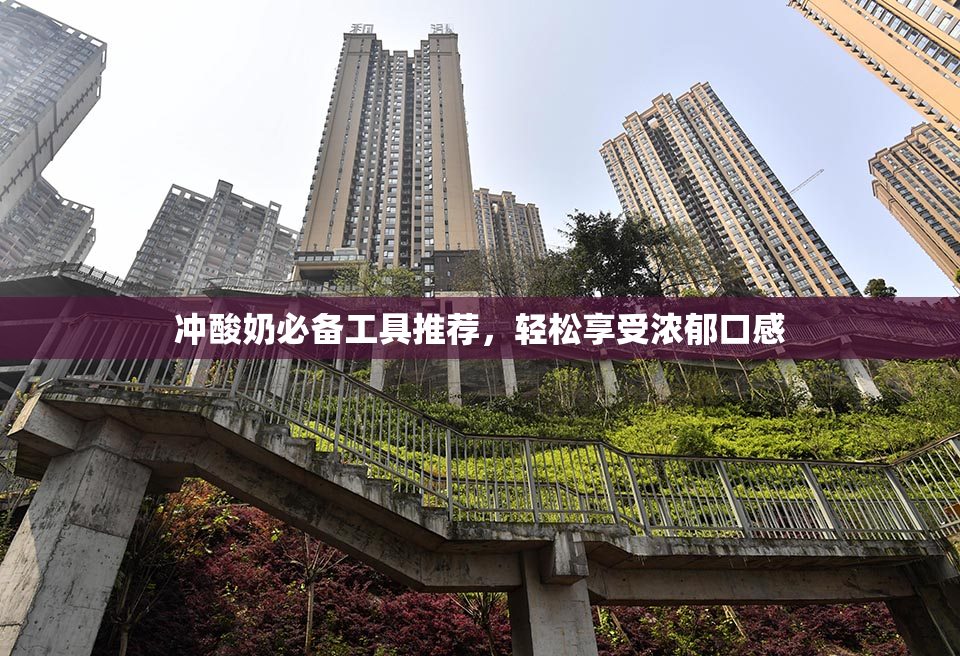 冲酸奶必备工具推荐，轻松享受浓郁口感