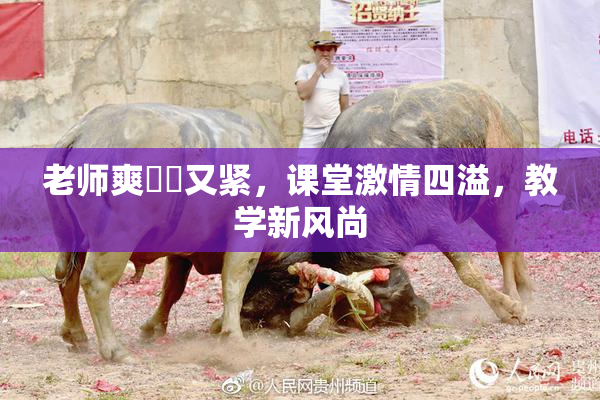 老师爽❌‌又紧，课堂激情四溢，教学新风尚