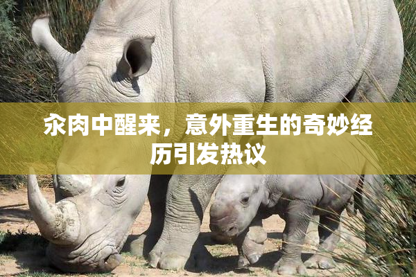 汆肉中醒来，意外重生的奇妙经历引发热议