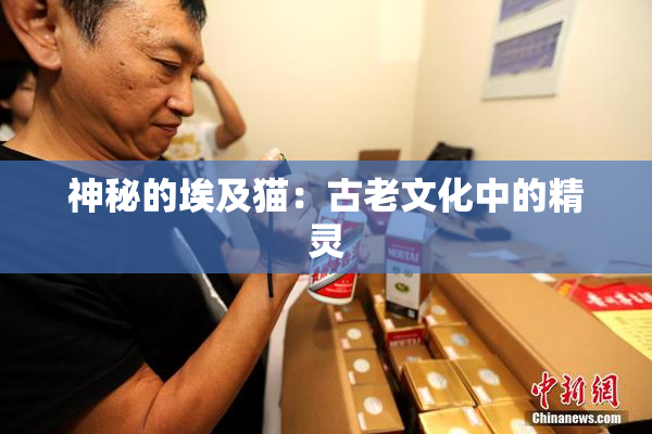神秘的埃及猫：古老文化中的精灵