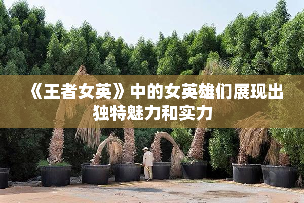 《王者女英》中的女英雄们展现出独特魅力和实力