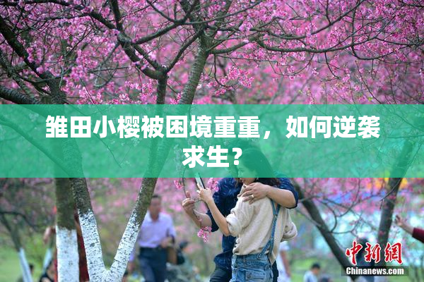 雏田小樱被困境重重，如何逆袭求生？