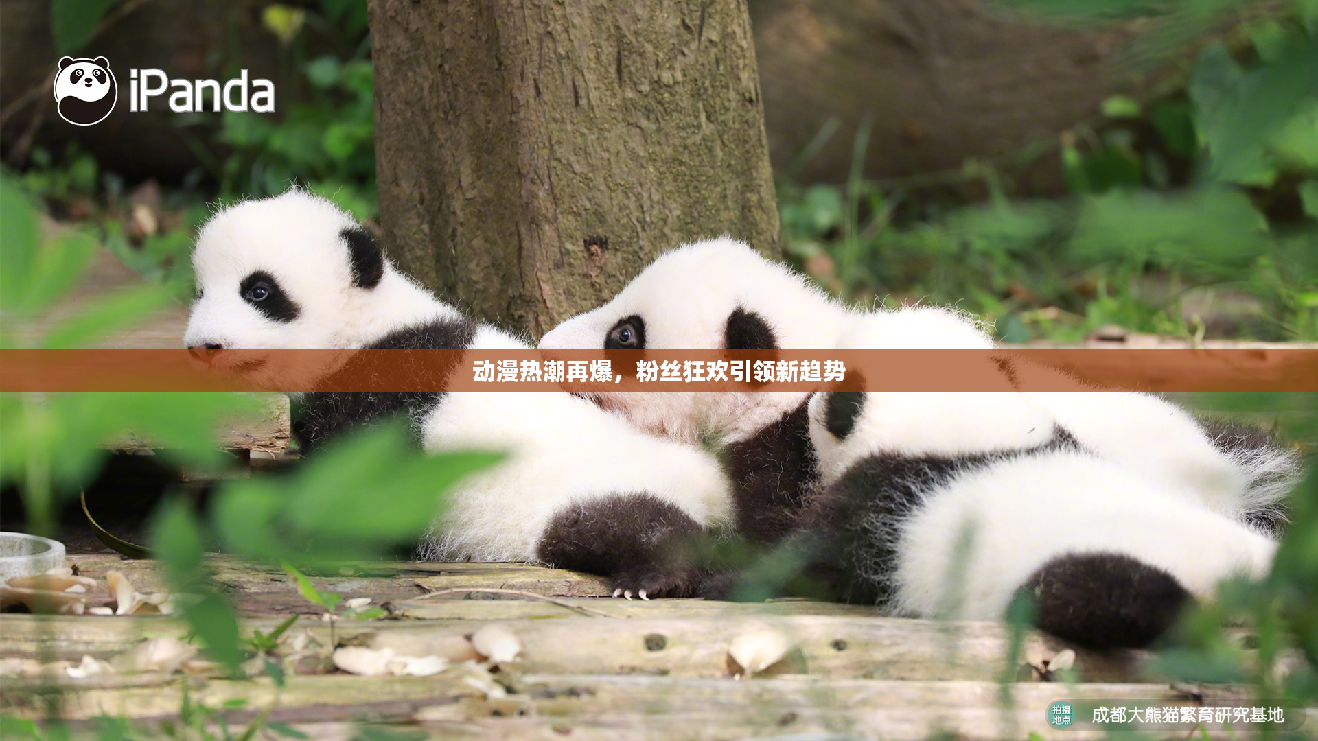 动漫热潮再爆，粉丝狂欢引领新趋势