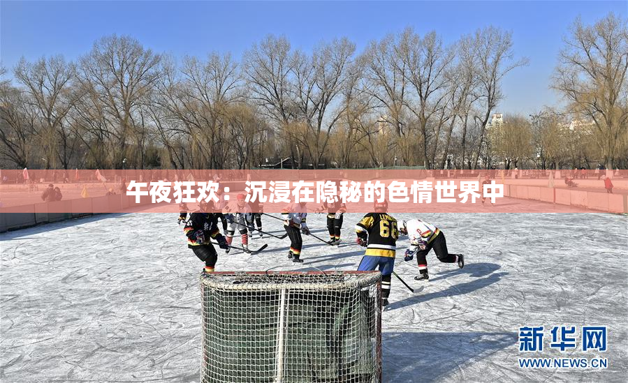 午夜狂欢：沉浸在隐秘的色情世界中