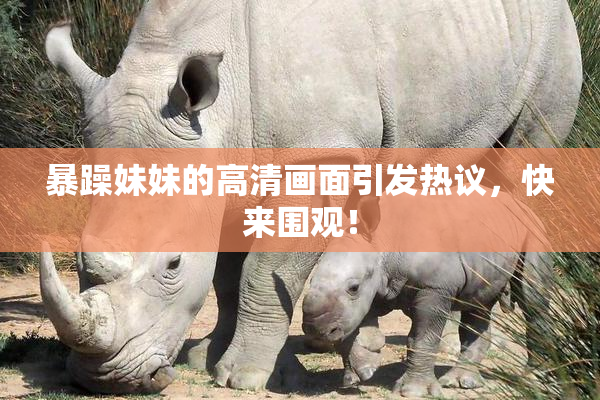 暴躁妹妹的高清画面引发热议，快来围观！
