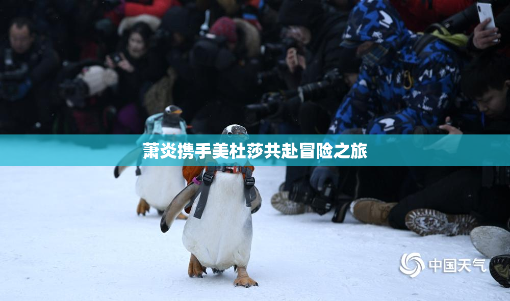 萧炎携手美杜莎共赴冒险之旅