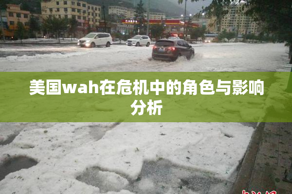 美国wah在危机中的角色与影响分析