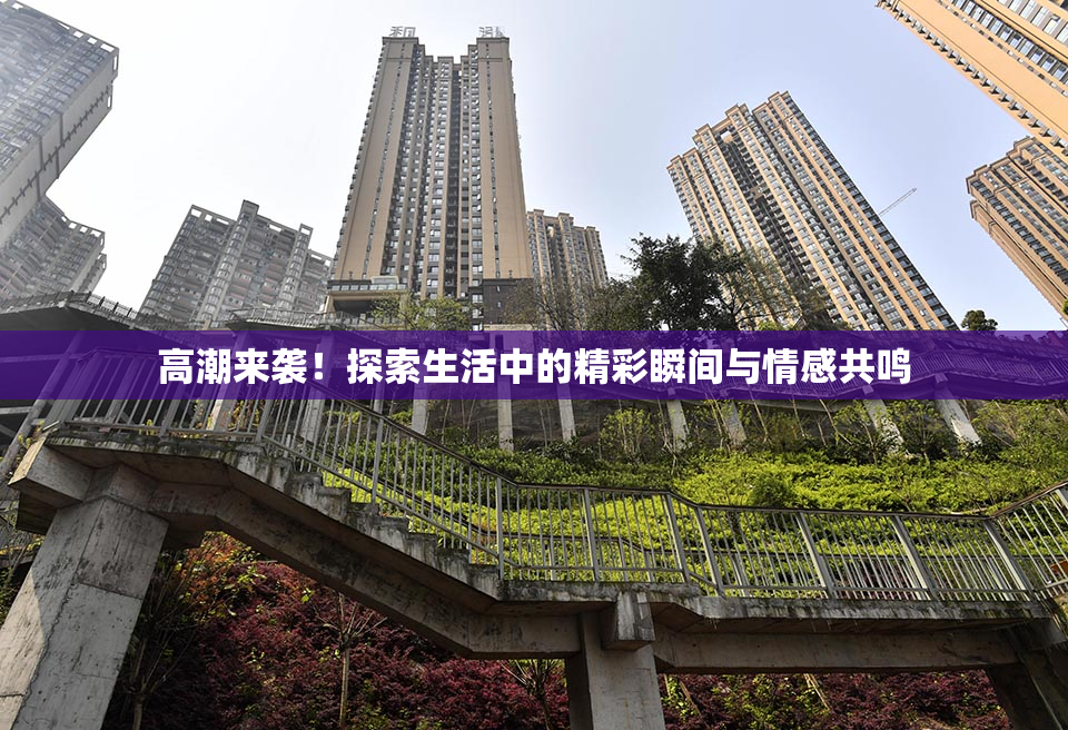 高潮来袭！探索生活中的精彩瞬间与情感共鸣