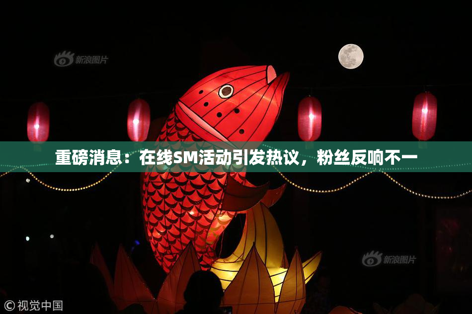重磅消息：在线SM活动引发热议，粉丝反响不一