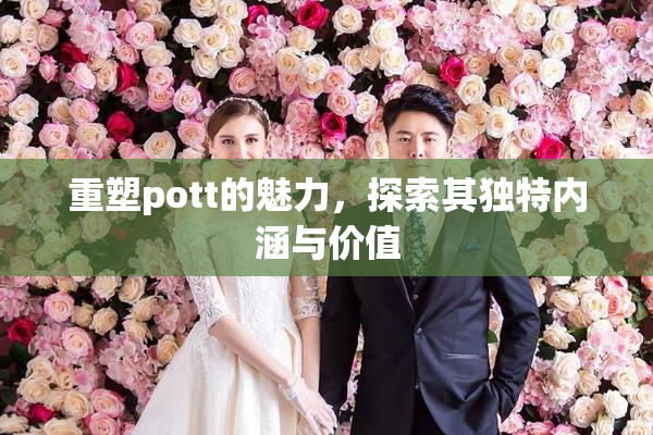 重塑pott的魅力，探索其独特内涵与价值