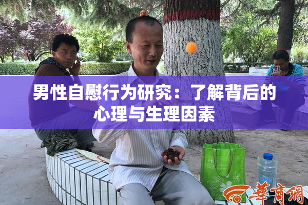 男性自慰行为研究：了解背后的心理与生理因素