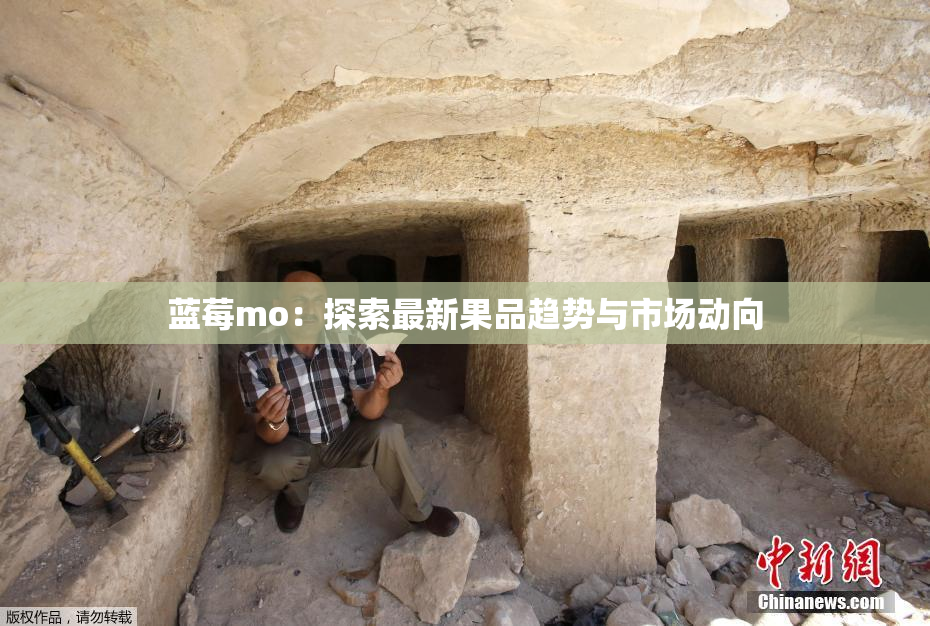 蓝莓mo：探索最新果品趋势与市场动向