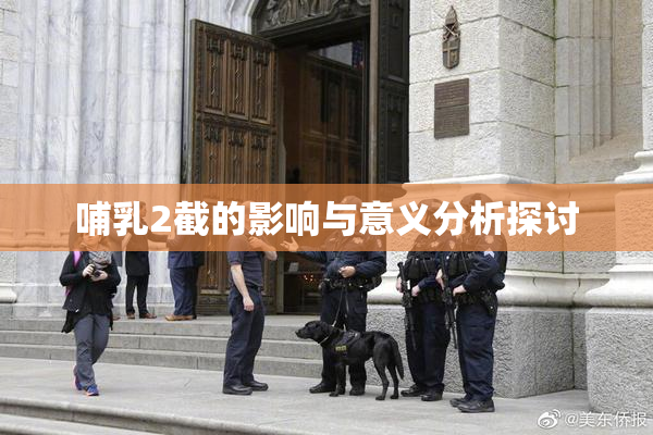 哺乳2截的影响与意义分析探讨