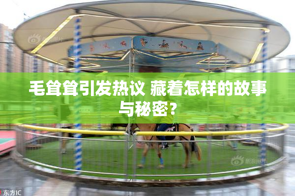 毛耸耸引发热议 藏着怎样的故事与秘密？