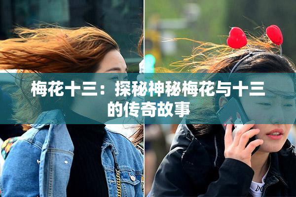 梅花十三：探秘神秘梅花与十三的传奇故事