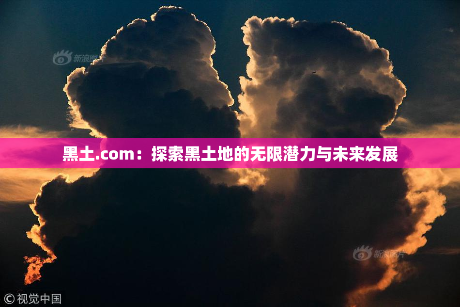 黑土.com：探索黑土地的无限潜力与未来发展