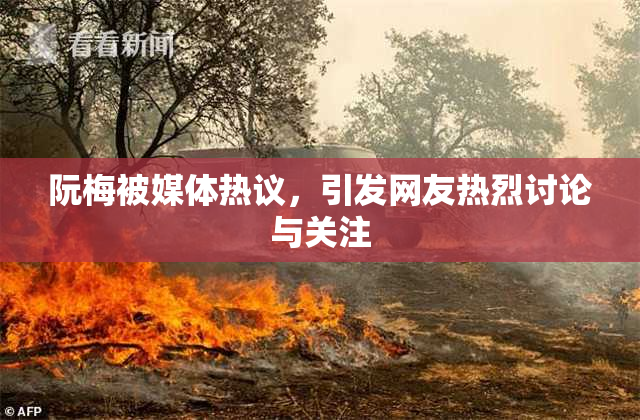 阮梅被媒体热议，引发网友热烈讨论与关注