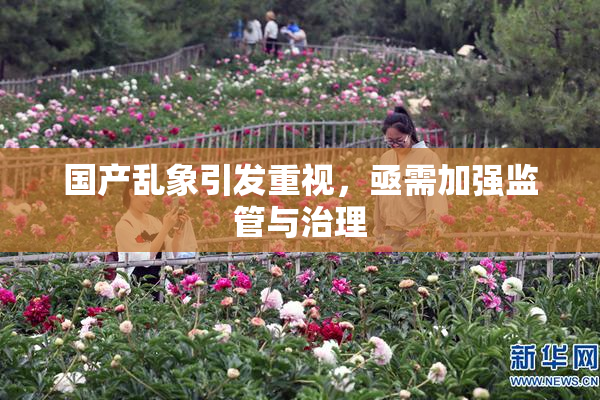 国产乱象引发重视，亟需加强监管与治理