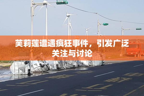 芙莉莲遭遇疯狂事件，引发广泛关注与讨论