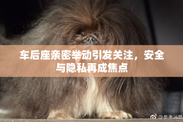 车后座亲密举动引发关注，安全与隐私再成焦点