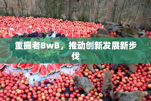 重振老BwB，推动创新发展新步伐