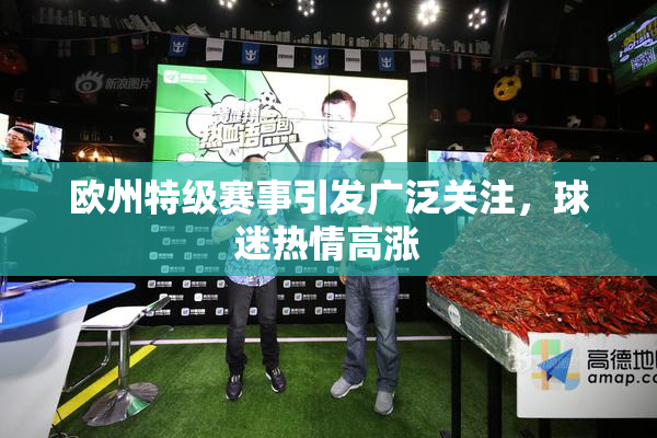 欧州特级赛事引发广泛关注，球迷热情高涨