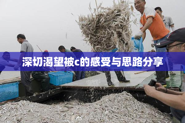深切渴望被c的感受与思路分享