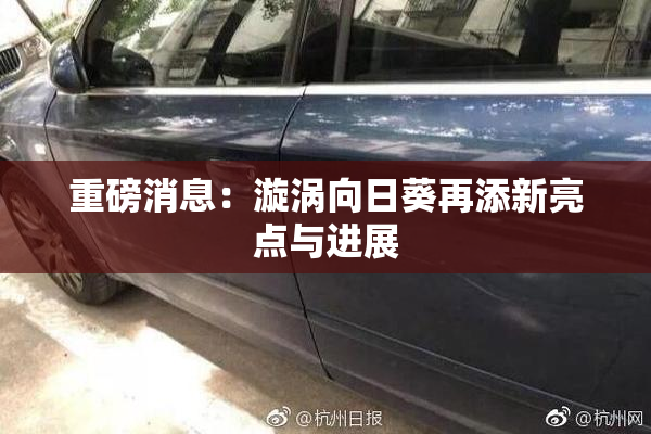 重磅消息：漩涡向日葵再添新亮点与进展