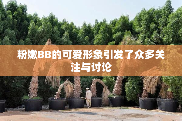 粉嫩BB的可爱形象引发了众多关注与讨论