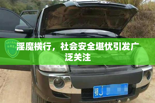 淫魔横行，社会安全堪忧引发广泛关注