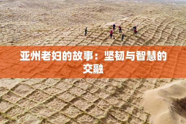 亚州老妇的故事：坚韧与智慧的交融