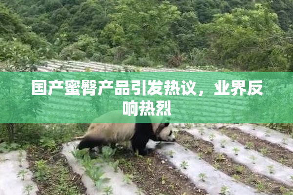 国产蜜臀产品引发热议，业界反响热烈