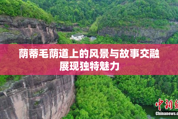 荫蒂毛荫道上的风景与故事交融展现独特魅力