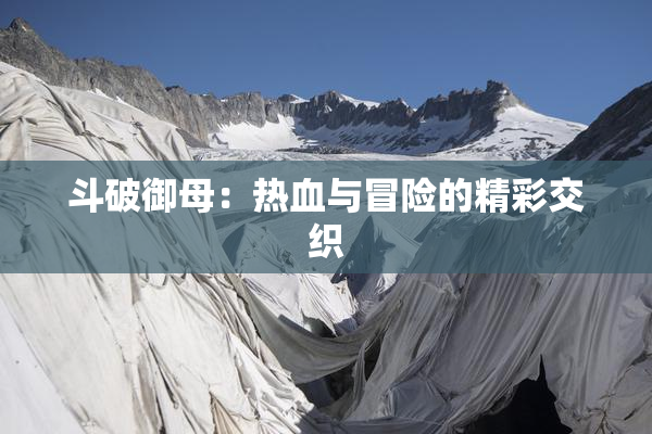 斗破御母：热血与冒险的精彩交织