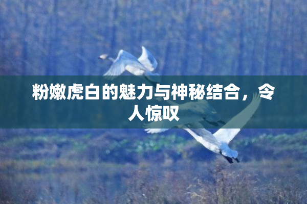 粉嫩虎白的魅力与神秘结合，令人惊叹