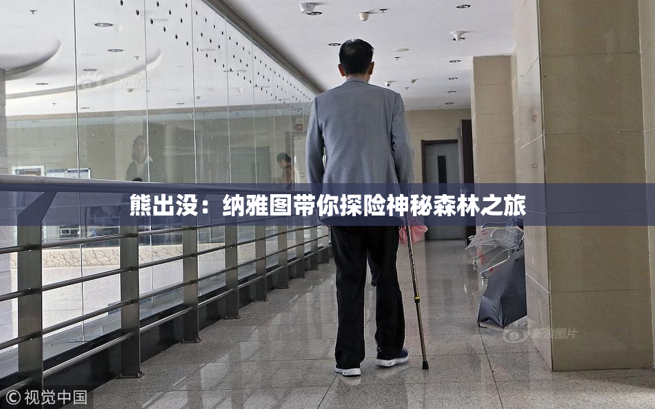 熊出没：纳雅图带你探险神秘森林之旅
