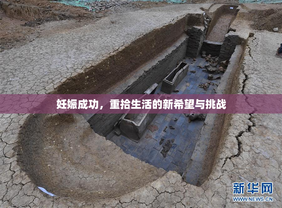 妊娠成功，重拾生活的新希望与挑战