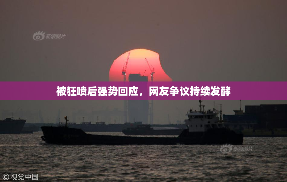 被狂喷后强势回应，网友争议持续发酵