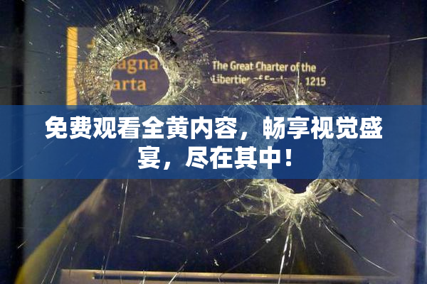 免费观看全黄内容，畅享视觉盛宴，尽在其中！