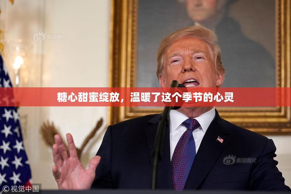 糖心甜蜜绽放，温暖了这个季节的心灵