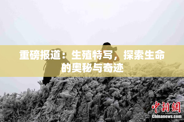 重磅报道：生殖特写，探索生命的奥秘与奇迹